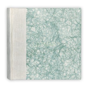 CM 242420 (1) (1) (1)