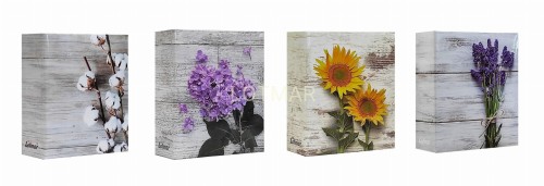 FLOWER RAZEM R.jpg