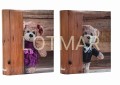 teddy.jpg