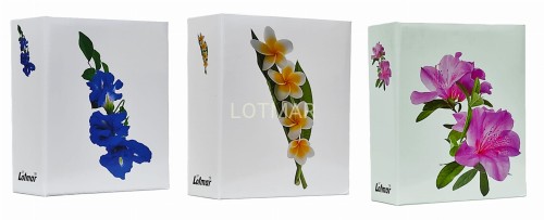 46304 white flower.jpg