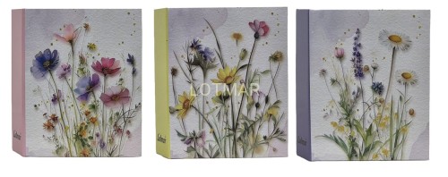 ma46100 meadow r.jpg