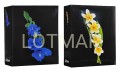 46304 black flower blue yell R.jpg