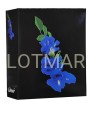 46304 black flower blue.jpg